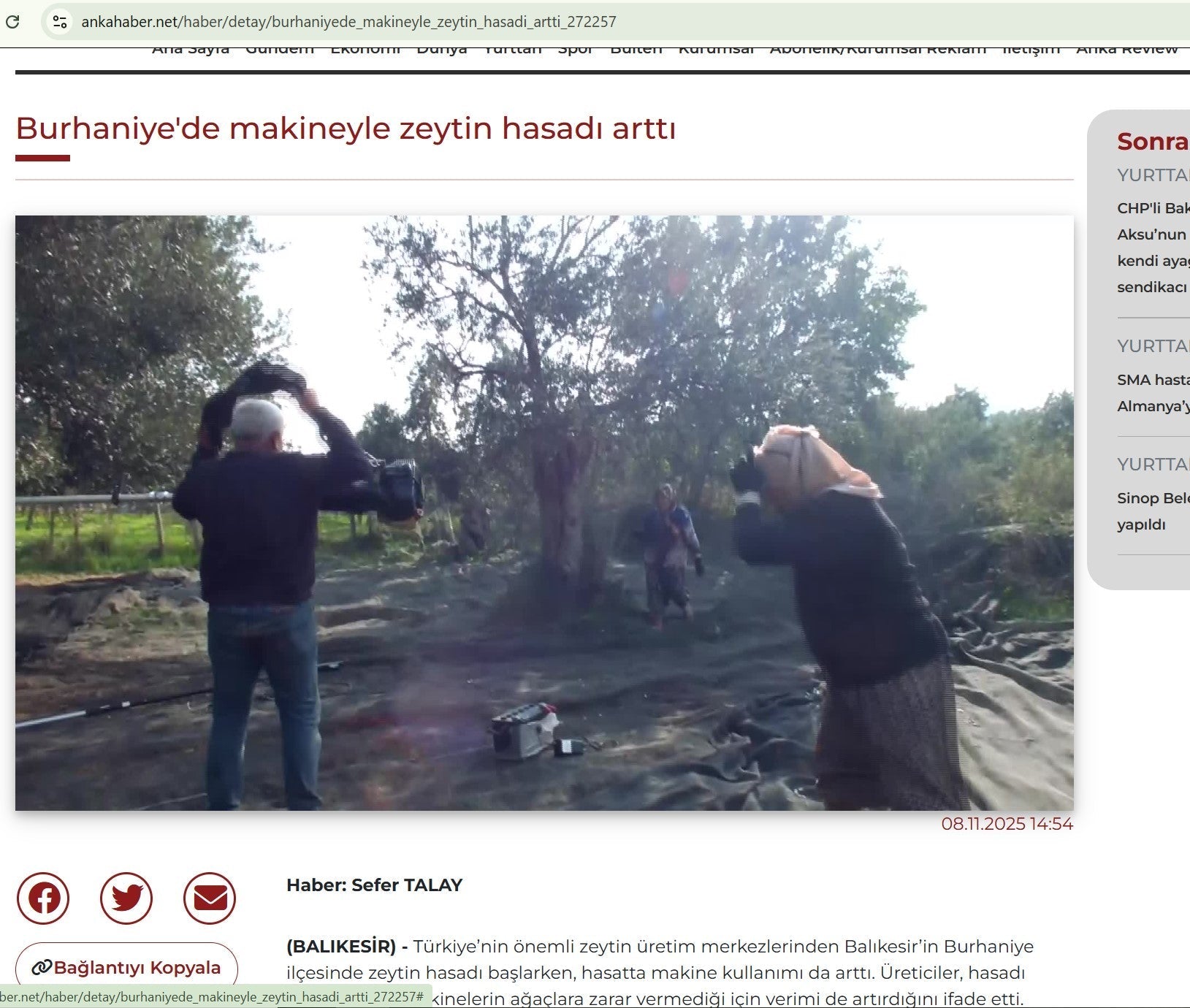 Ankahaber.net Balıkesir’in Burhaniye ilçesinde zeytin hasadı başladı.