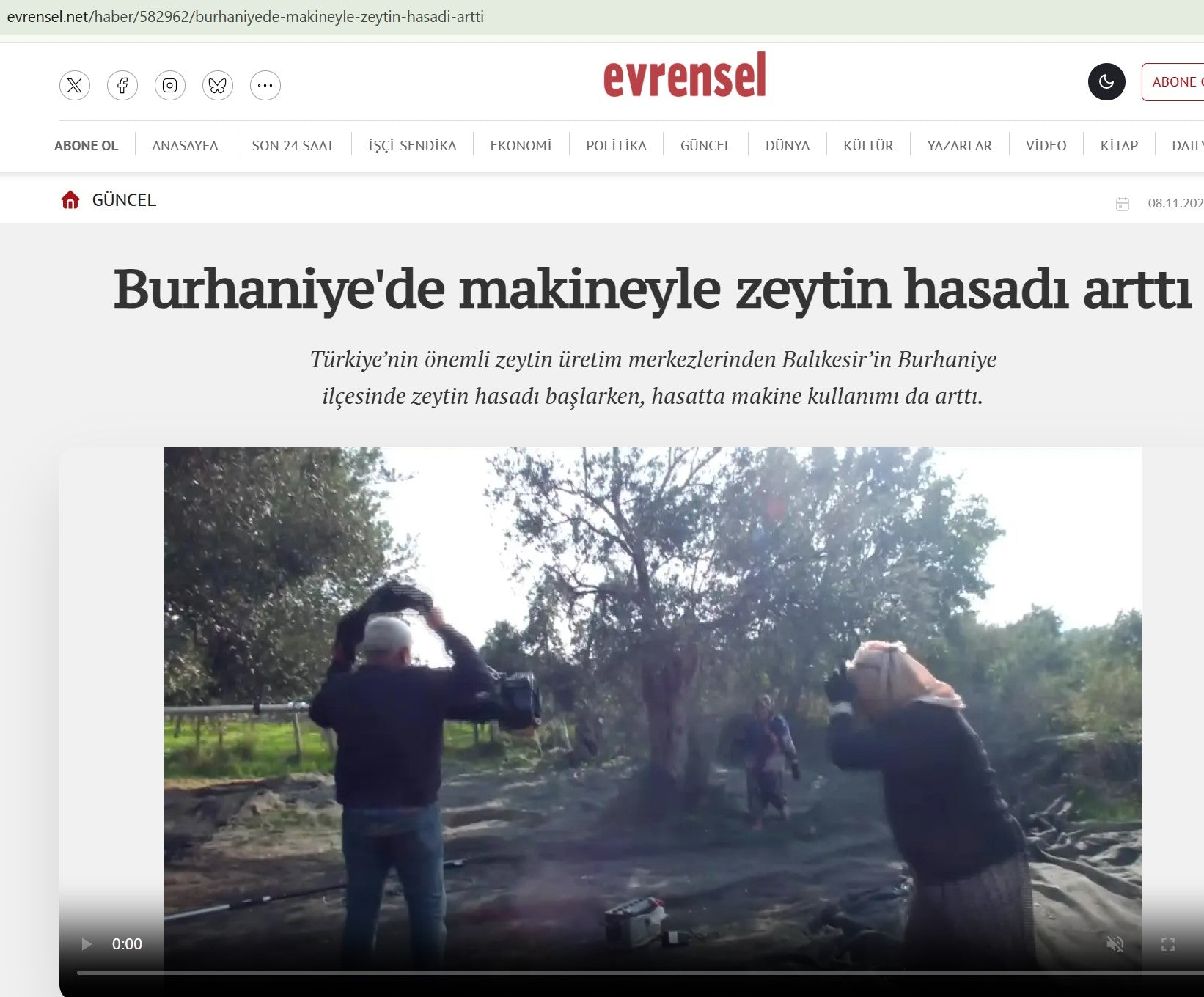 Evrensel.net Üreticiler, hasadı kolaylaştıran makinelerin ağaçlara zarar vermediği için verimi de artırdığını ifade etti